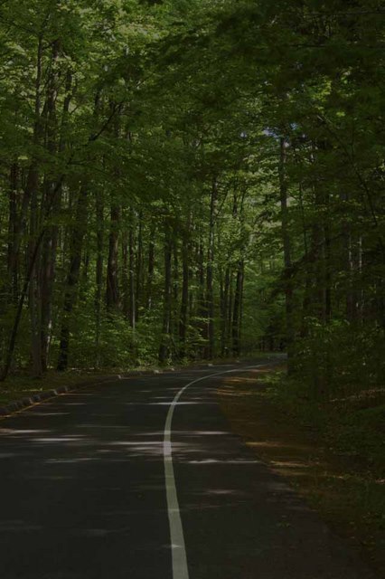 The road along the Pierce Stocking Scenic Drive in SBDNL